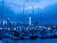 auckland_sky-tower-c-Fay-Looney.jpg